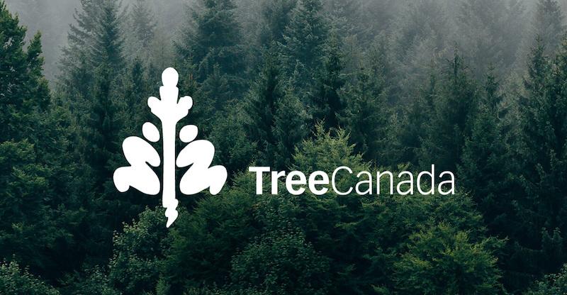 Logo d'Arbres Canada avec forêt en arrière-plan